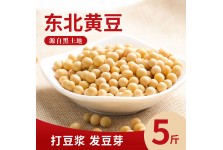 黃豆5斤裝黑龍江大豆農(nóng)家黃豆打豆?jié){發(fā)豆芽用豆東北黃豆大豆雜糧